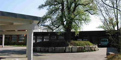 Bild: Salier-GHS Waiblingen Bild: Salier-GHS Waiblingen